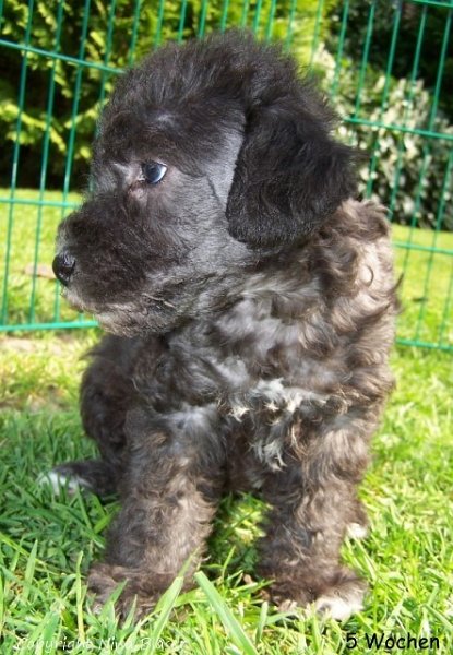 Alanna-3 - Kopie.jpg